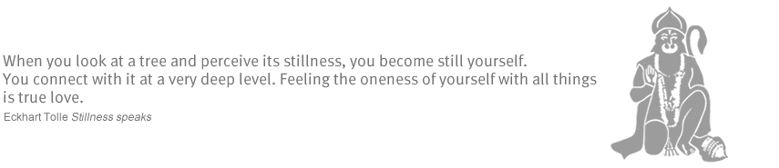 When you look at a tree and perceive its stillness, you become still yourself. You connect with it at a very deep level. Feeling the oneness of yourself with all things is true love - Eckhart Tolle Stillness speaks 